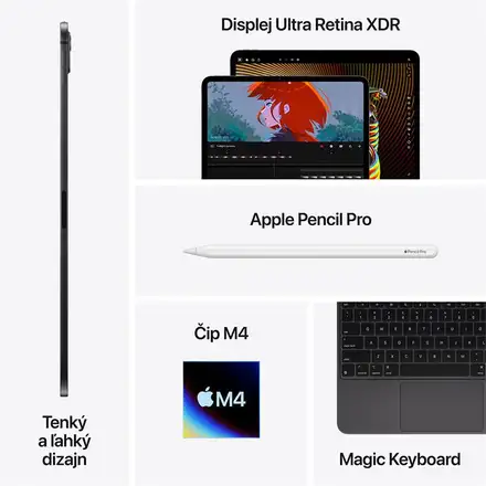 iPad Pro 13" Wi-Fi 256GB štandardné sklo - Kozmický čierny (2024) *Vystavený*