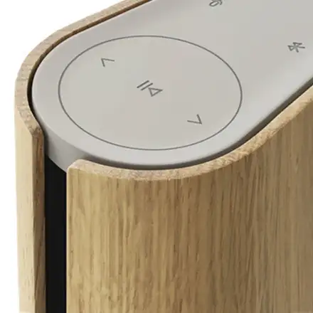 Bang & Olufsen BeoSound Emerge Gold Tone/Light Oak reproduktor
