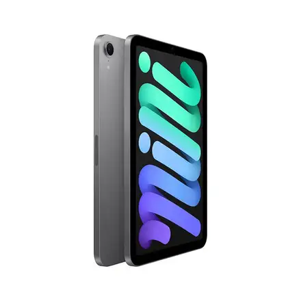 iPad mini Wi-Fi 256GB Kozmický sivý (2024)